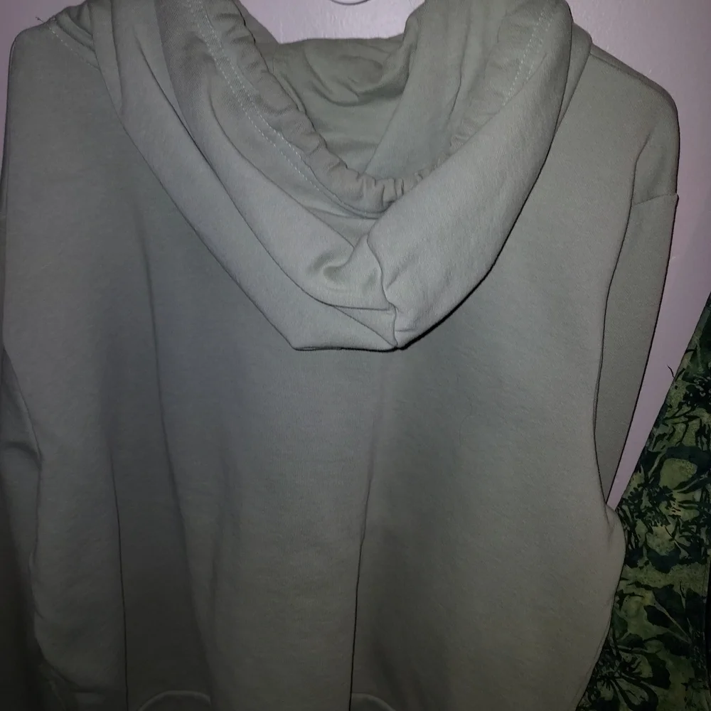 The North Face Sage Green Logo Hoodie - Picture 2 of 4